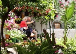 Patios conventuales de Córdoba: la flor que brota del soplo de Dios