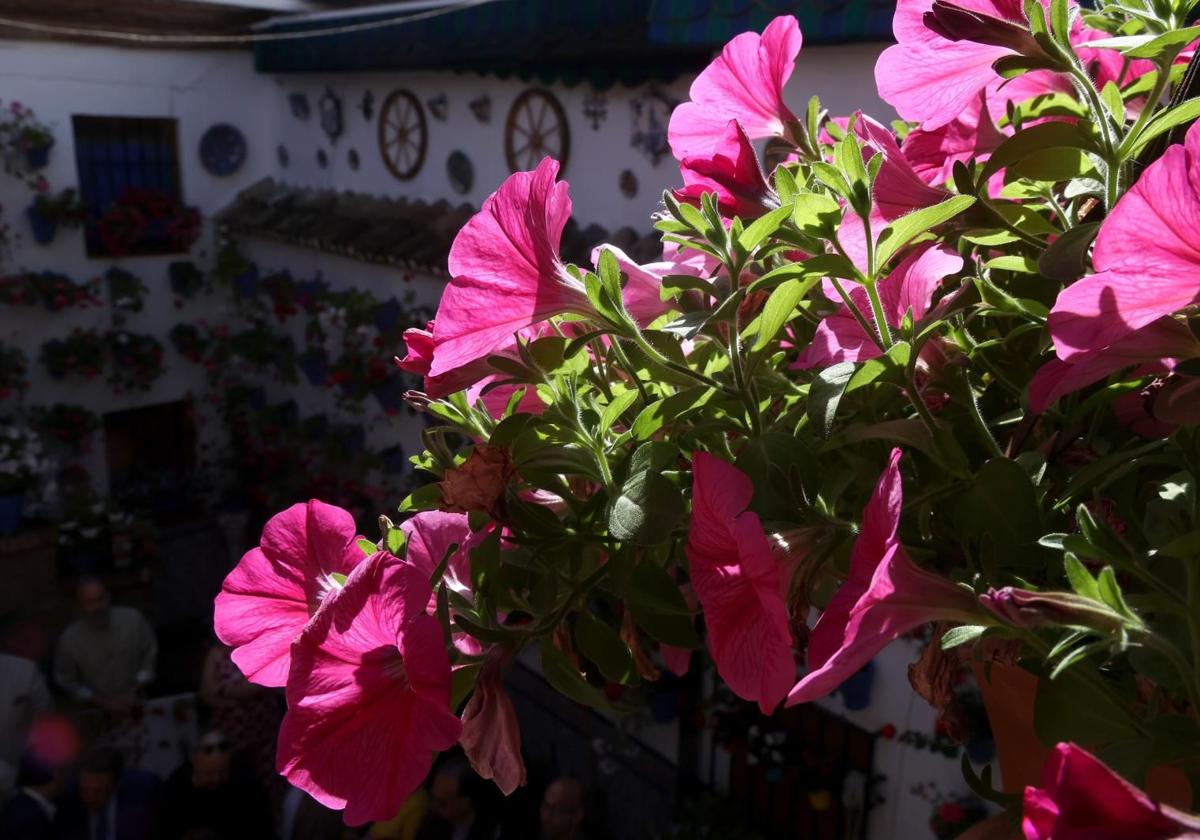Patio de la calle Guzmanas