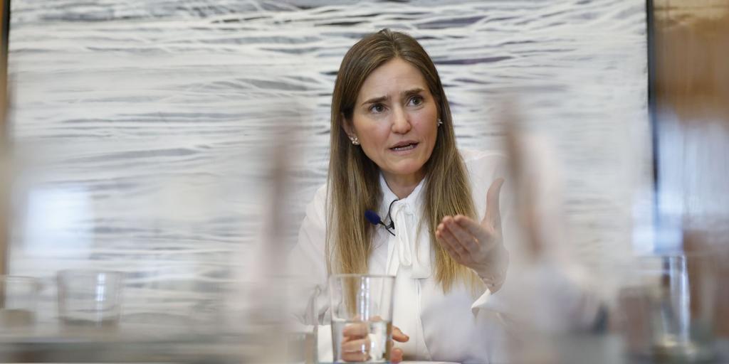 El Gobierno afirma que no sabrá las causas del apagón hasta dentro de seis meses