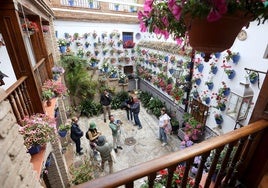 Los nuevos patios que se suman al concurso de Córdoba, en imágenes