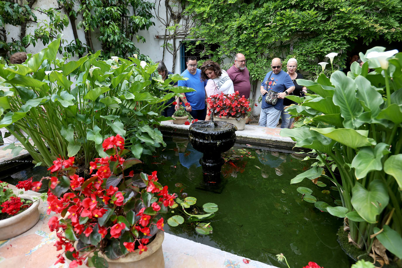 Los patios del Palacio de Viana de Córdoba, en imágenes