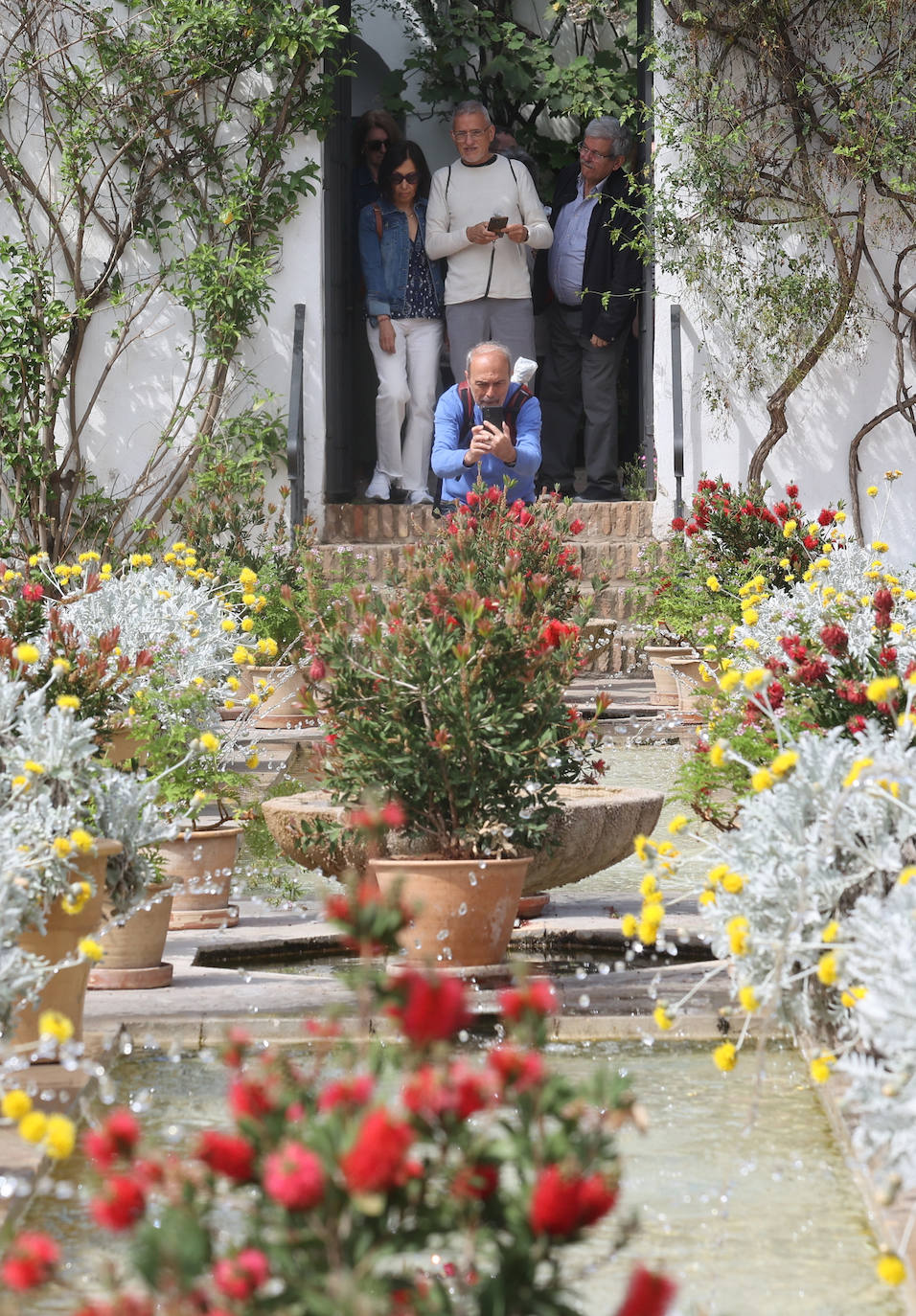 Los patios del Palacio de Viana de Córdoba, en imágenes