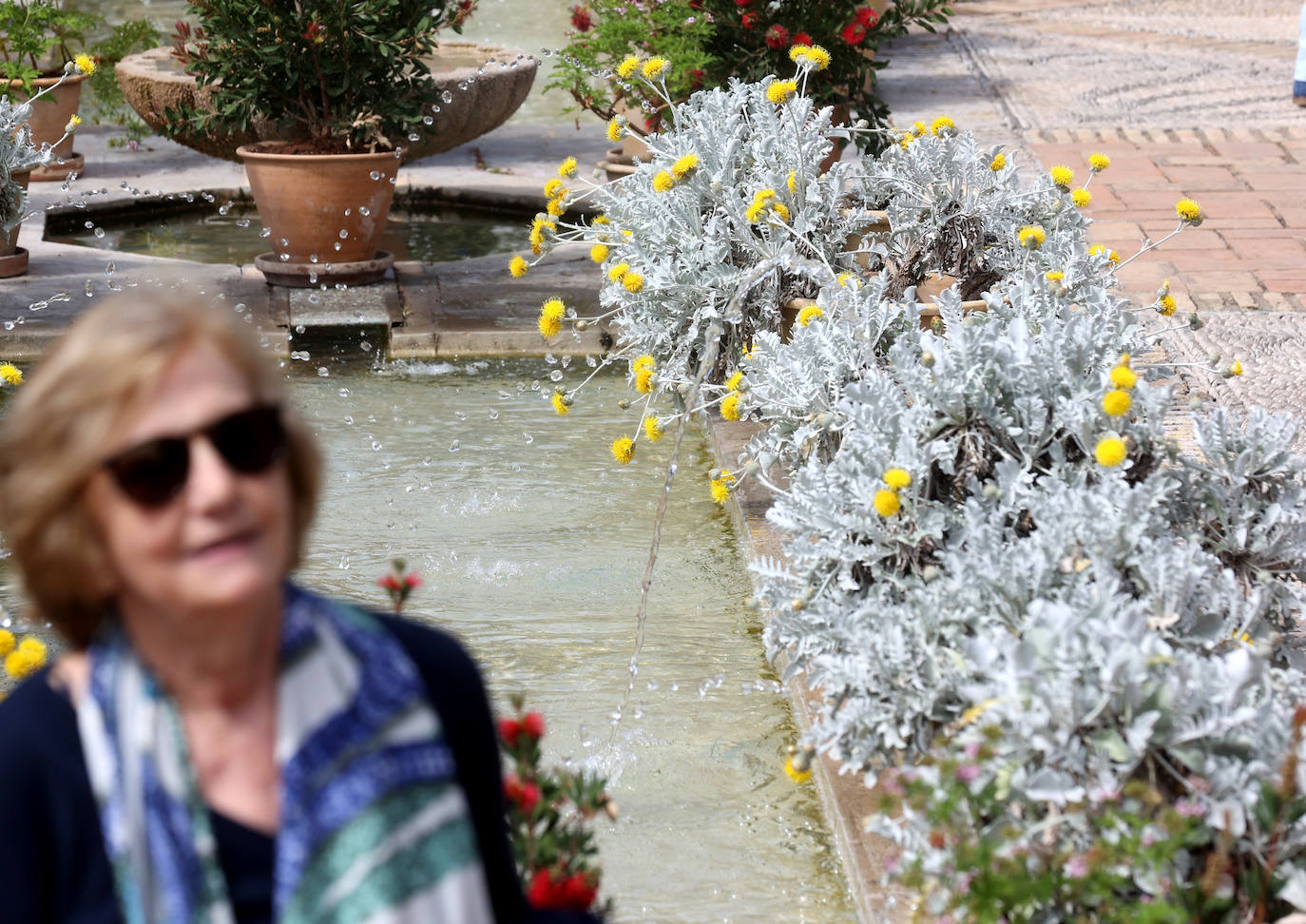 Los patios del Palacio de Viana de Córdoba, en imágenes