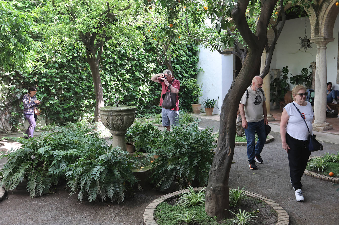Los patios del Palacio de Viana de Córdoba, en imágenes