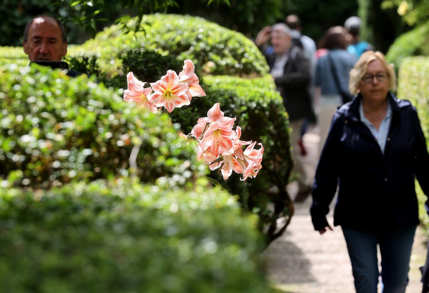 Los patios del Palacio de Viana de Córdoba, en imágenes
