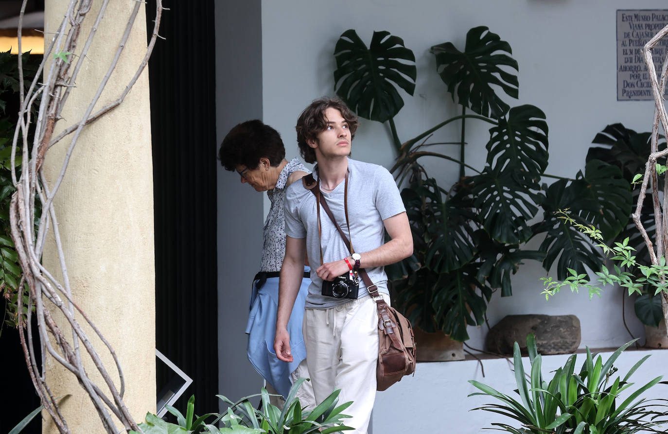 Los patios del Palacio de Viana de Córdoba, en imágenes