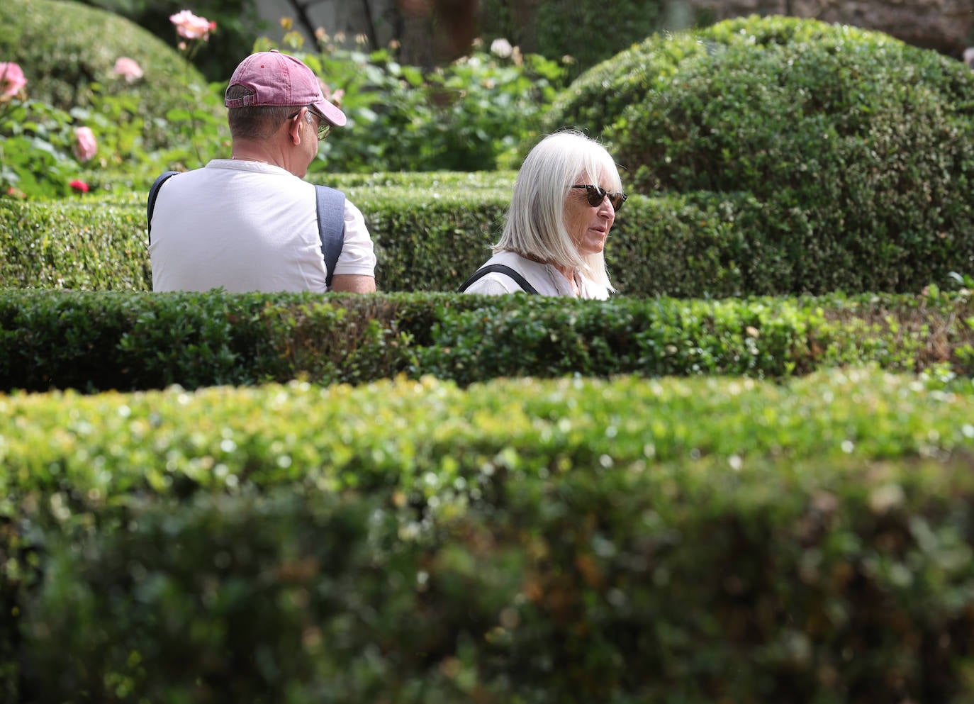Los patios del Palacio de Viana de Córdoba, en imágenes
