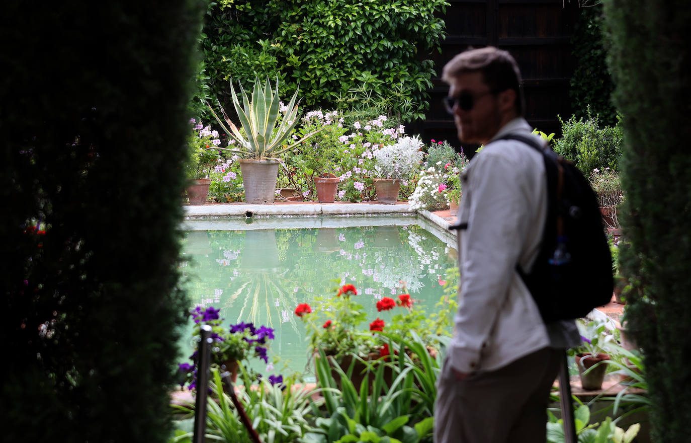 Los patios del Palacio de Viana de Córdoba, en imágenes