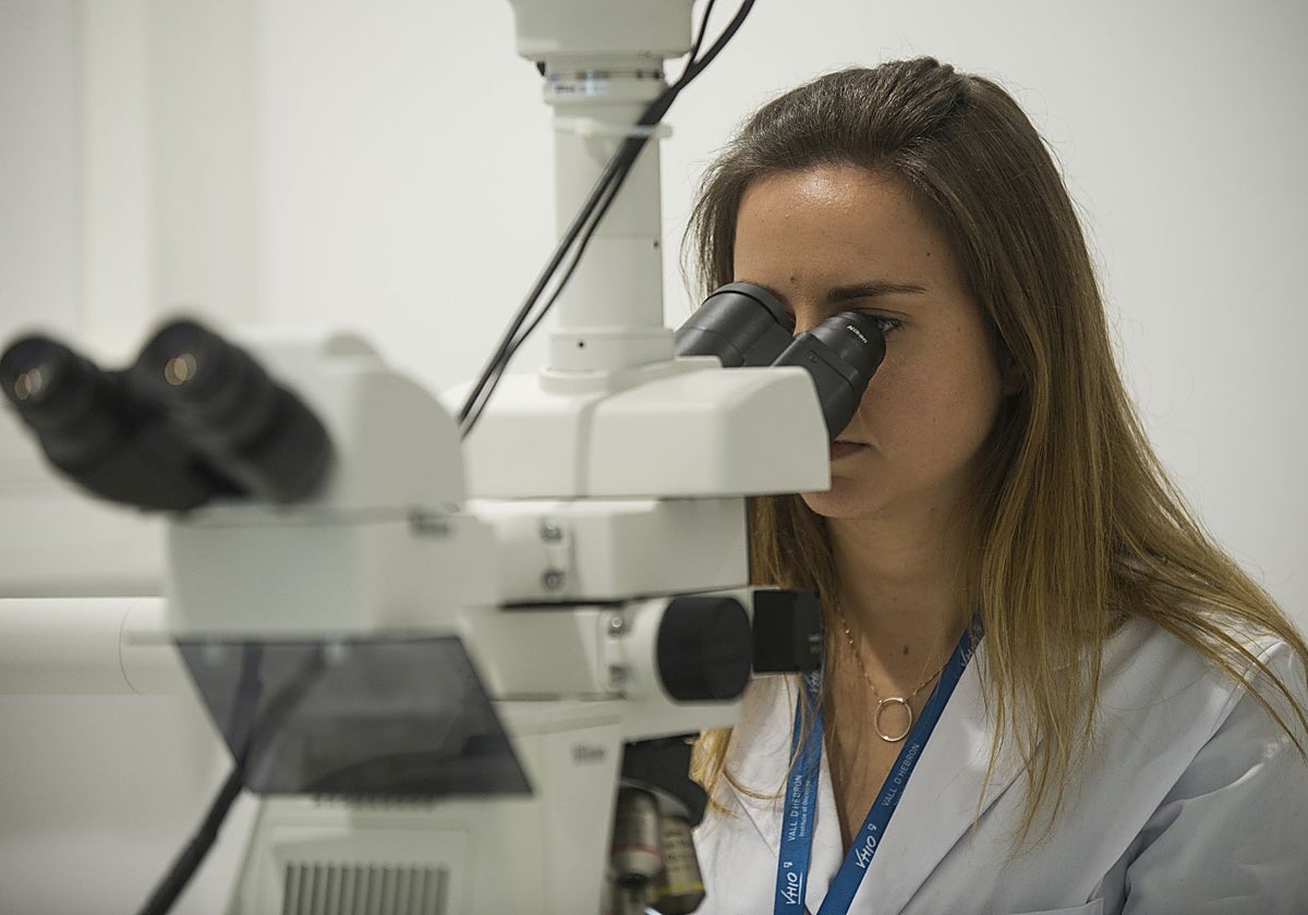 Las contrataciones fomentan la investigación en la región