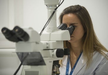 Castilla-La Mancha consolida el Programa Investigo con cinco millones para la próxima convocatoria