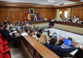 Pleno municipal: entran en vigor las nuevas tarifas del agua en Córdoba, con una subida del 10%
