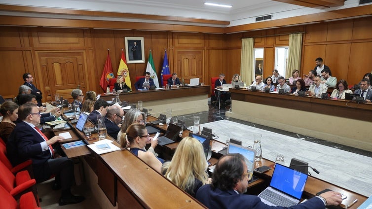 Pleno municipal: entran en vigor las nuevas tarifas del agua en Córdoba, con una subida del 10%