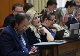 Las incidencias de la nueva plataforma electrónica y tramitador del Ayuntamiento de Córdoba se abordarán en el pleno de junio