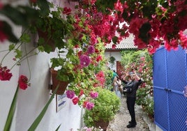 El patio de Marroquíes, 6 en Córdoba, en imágenes