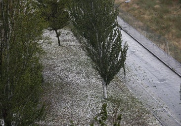 Activado el Meteocam en fase de alerta por lluvias, granizo y viento en toda Castilla-La Mancha