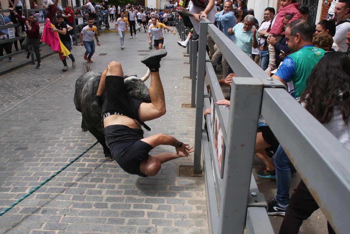La brutal cogida en el Toro de Cuerda de Carcabuey, en imágenes
