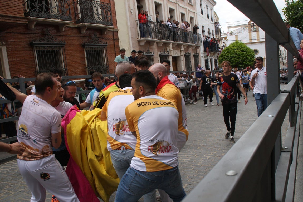 La brutal cogida en el Toro de Cuerda de Carcabuey, en imágenes