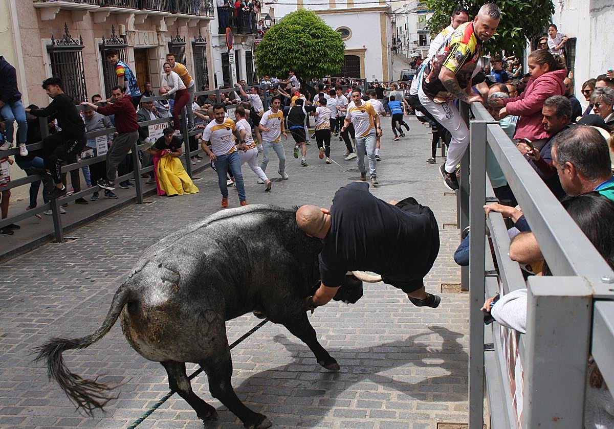 El Toro de Cuerda de Carcabuey ha dejado este sábado un herido grave
