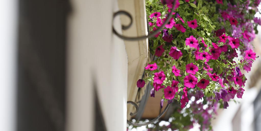 Tafures, 4 gana el concurso de Rejas y Balcones de Córdoba