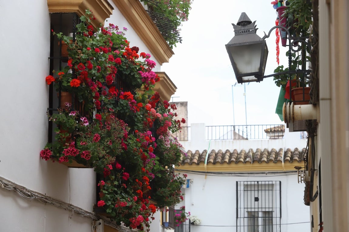 El imágenes, las Rejas y Balcones ganadoras del concurso 2025