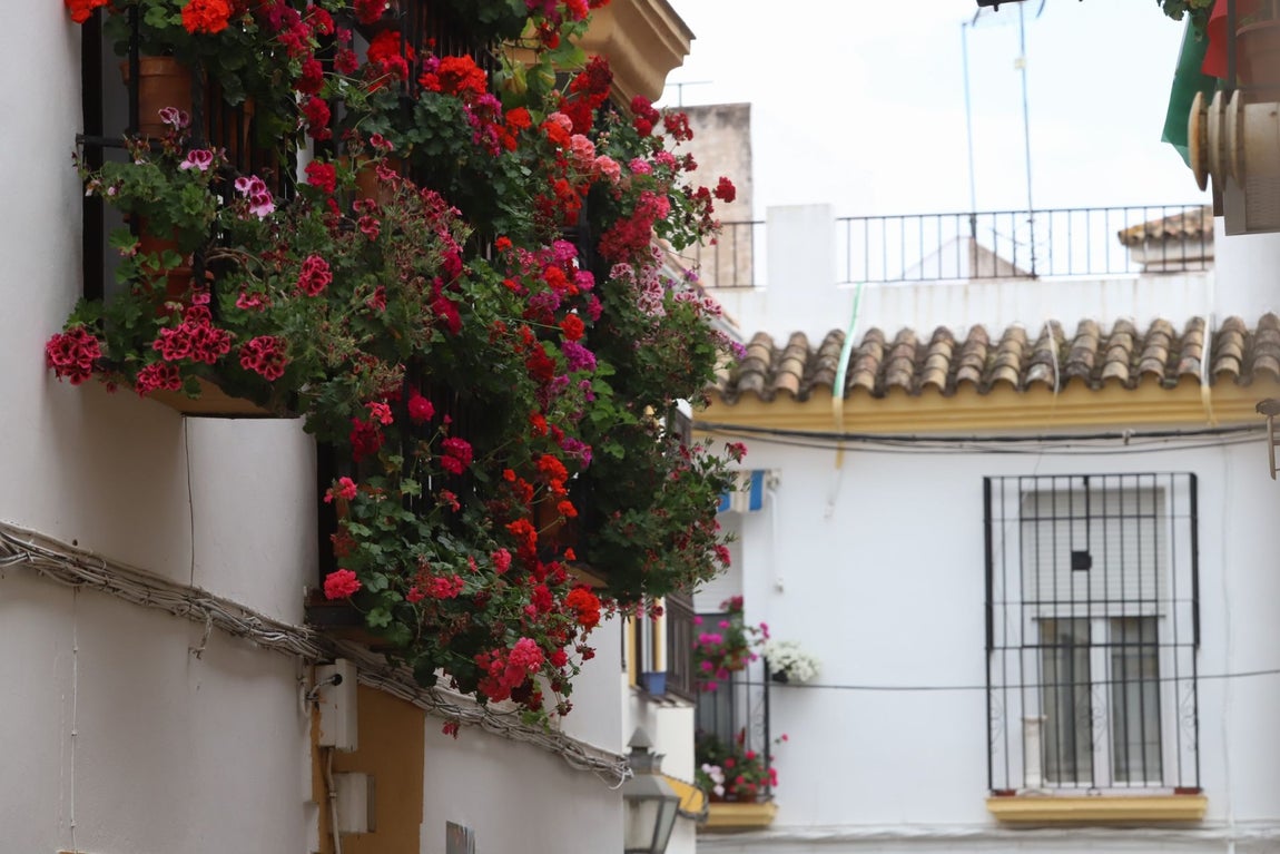 El imágenes, las Rejas y Balcones ganadoras del concurso 2025