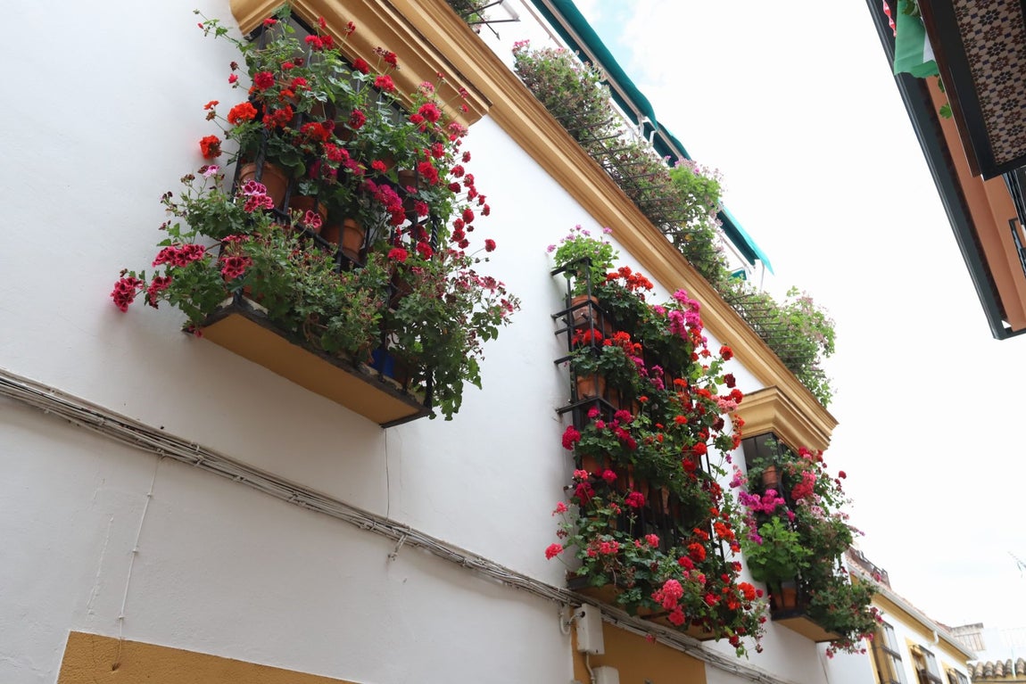 El imágenes, las Rejas y Balcones ganadoras del concurso 2025
