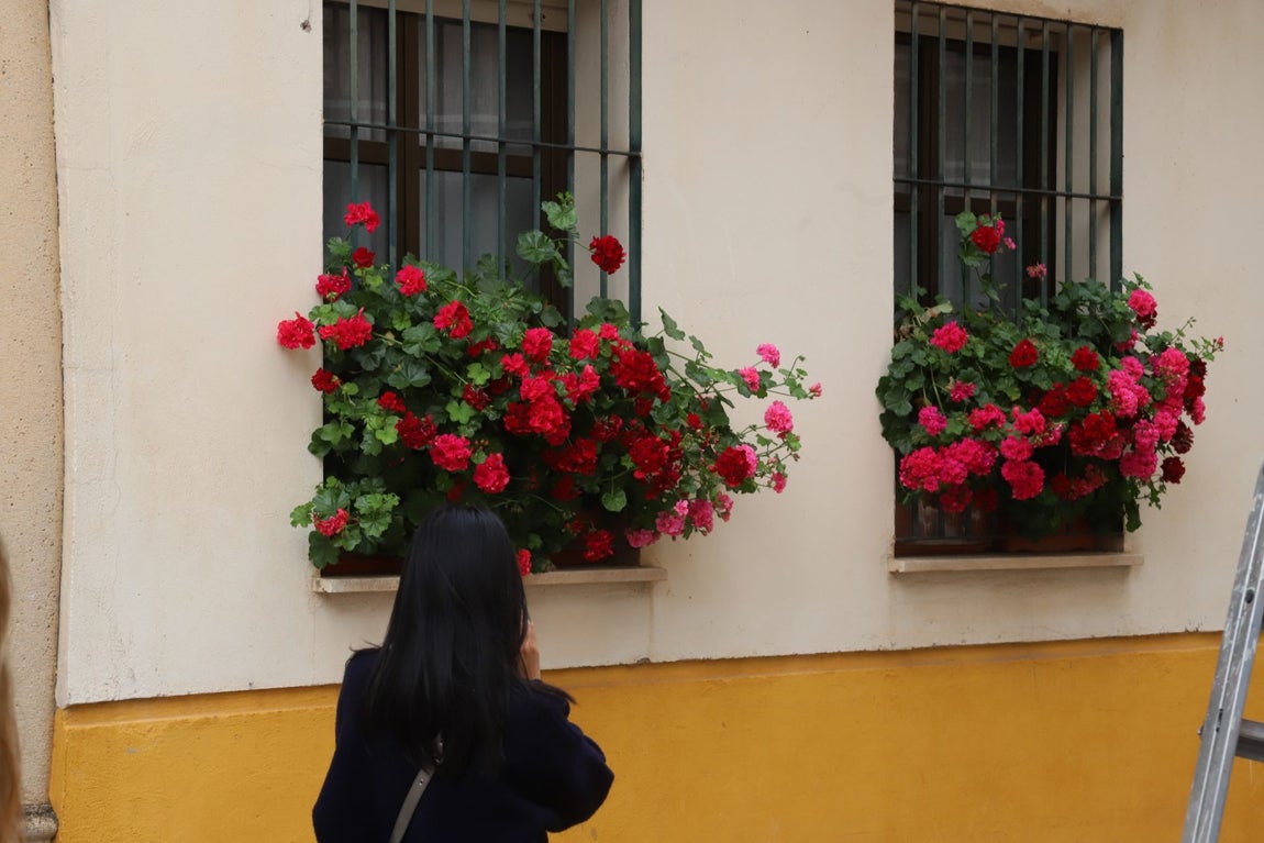 El imágenes, las Rejas y Balcones ganadoras del concurso 2025