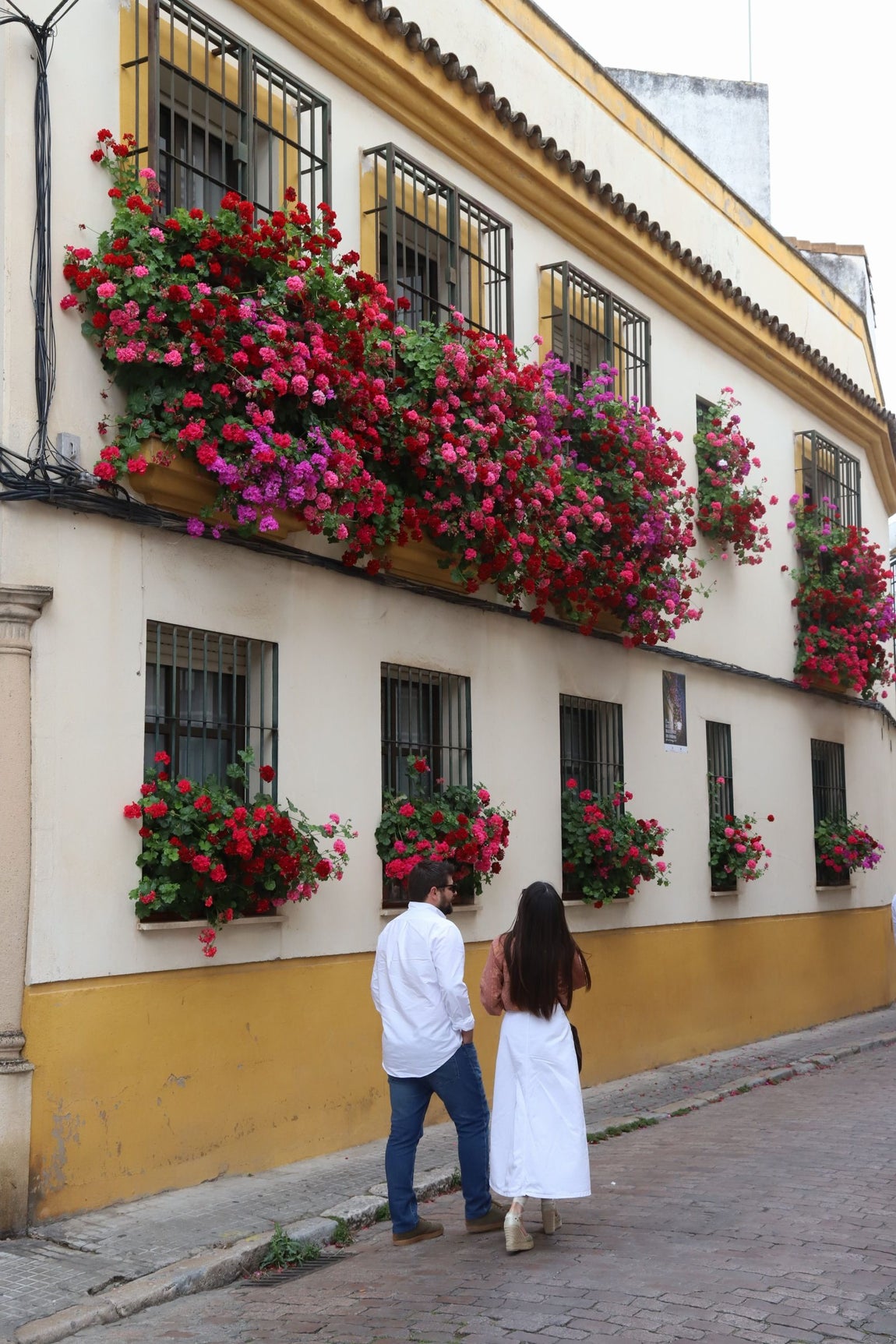 El imágenes, las Rejas y Balcones ganadoras del concurso 2025