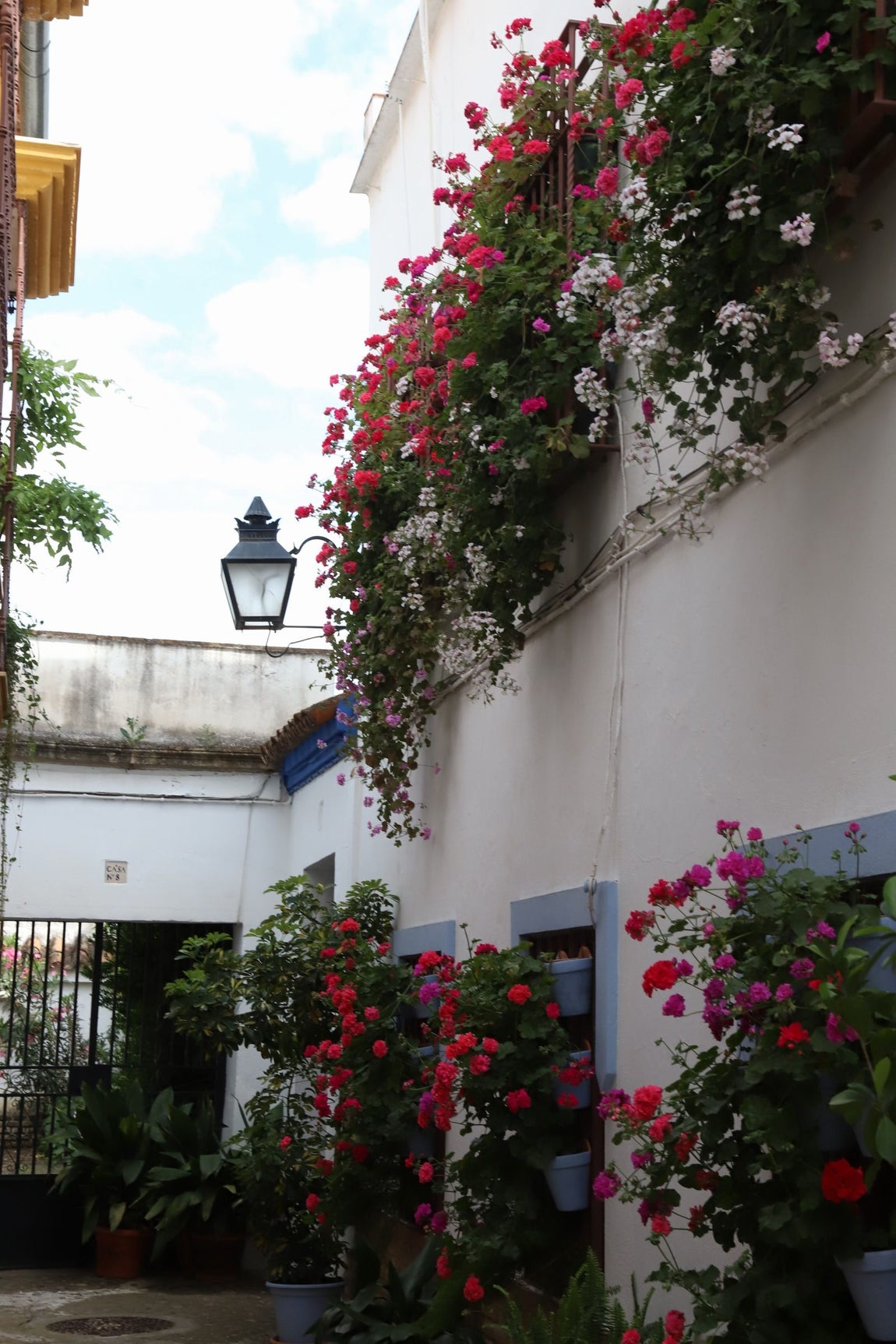 El imágenes, las Rejas y Balcones ganadoras del concurso 2025