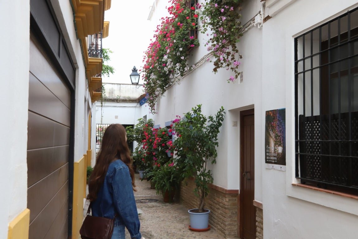 El imágenes, las Rejas y Balcones ganadoras del concurso 2025
