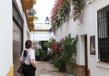 El imágenes, las Rejas y Balcones ganadoras del concurso 2025