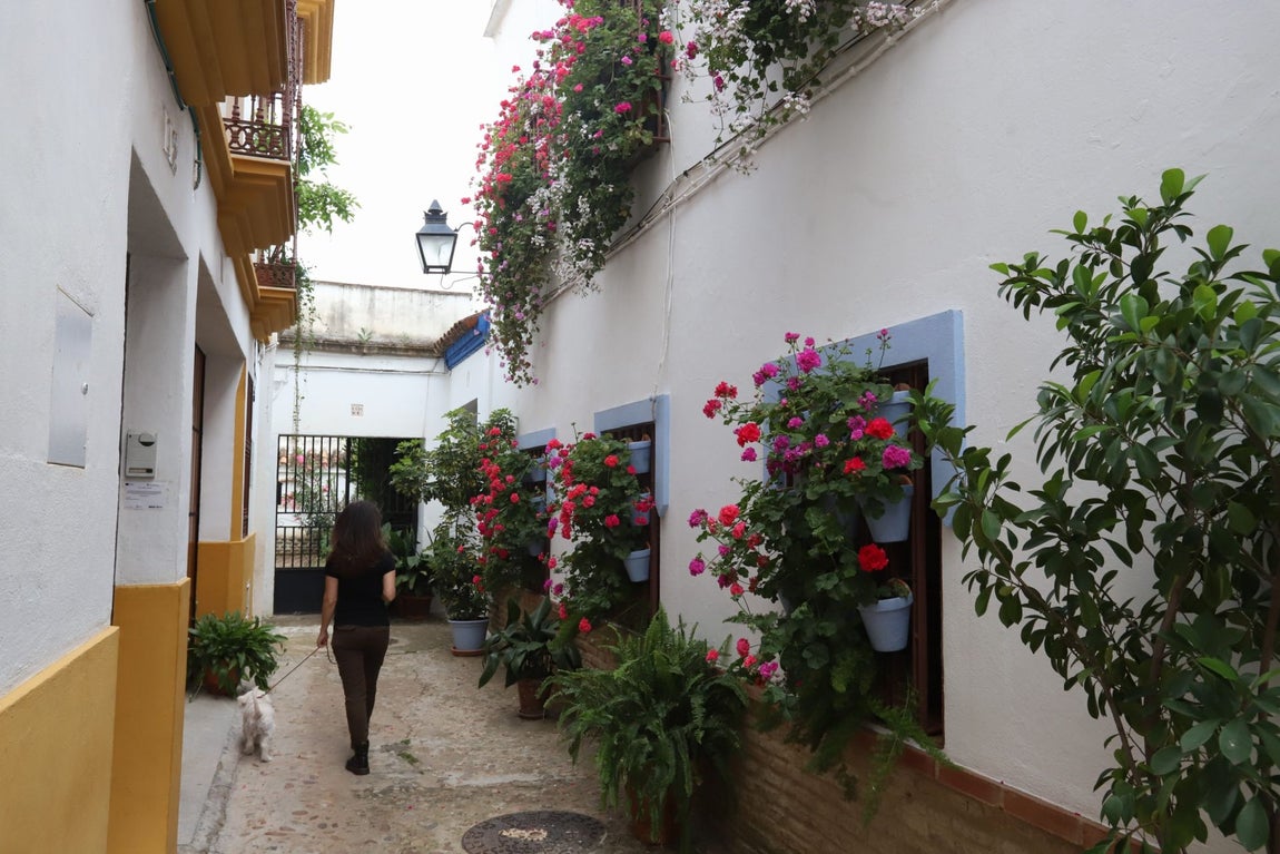 El imágenes, las Rejas y Balcones ganadoras del concurso 2025