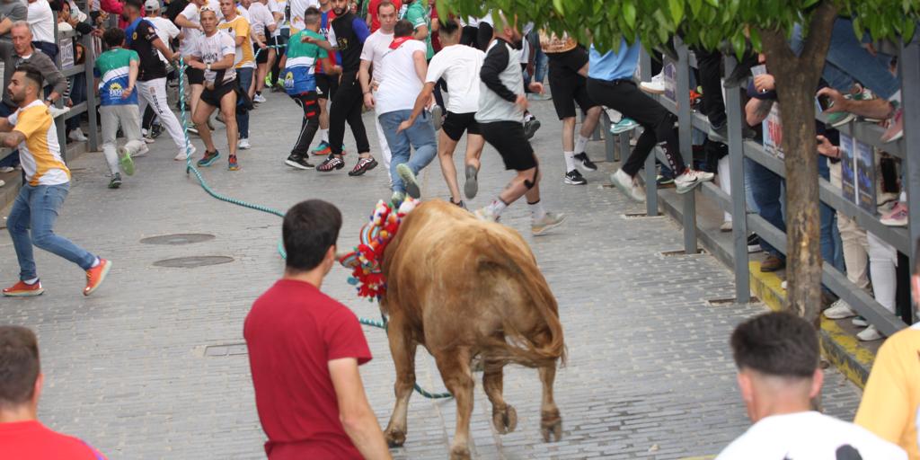 Carcabuey salda con un gran éxito el 400 aniversario del Toro de Cuerda