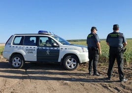 Detenidas tres personas y otras diez investigadas por la caza furtiva de erizos y liebres en Talavera y La Jara