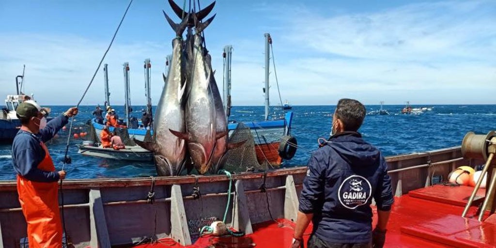 La huelga de inspectores de pesca provoca capturas descontroladas y el aumento del mercado negro