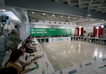 Comisión Ejecutiva Regional del PSOE, en Córdoba.