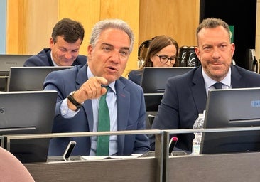 Elias Bendodo durante la defensa de la Proposición No de Ley