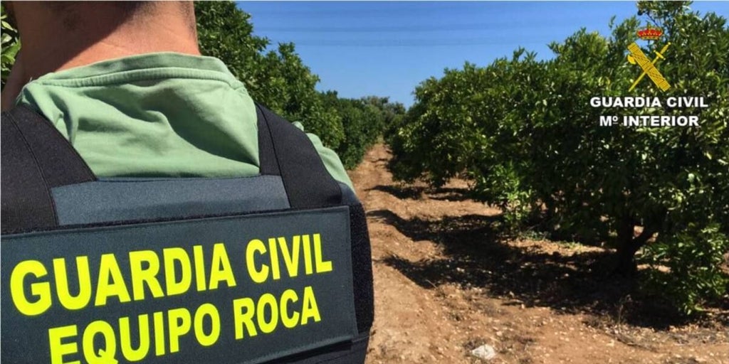 Descienden los ciberdelitos y los robos en explotaciones agrarias en Castilla-La Mancha en 2024