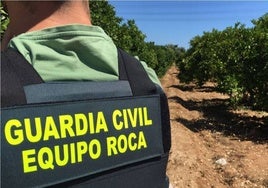 Descienden los ciberdelitos y los robos en explotaciones agrarias en Castilla-La Mancha en 2024
