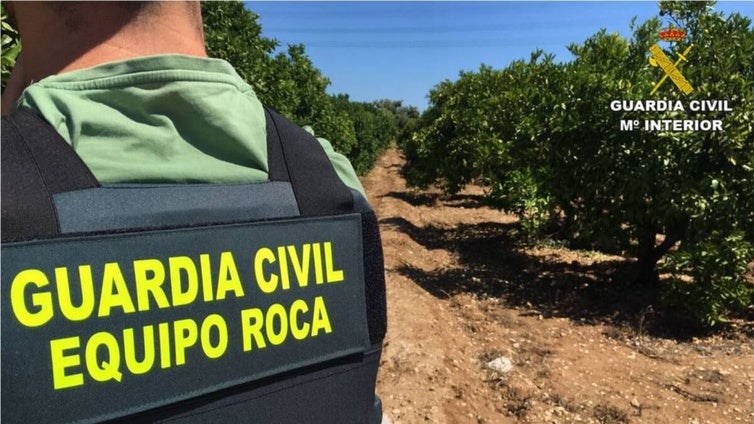 Descienden los ciberdelitos y los robos en explotaciones agrarias en Castilla-La Mancha en 2024