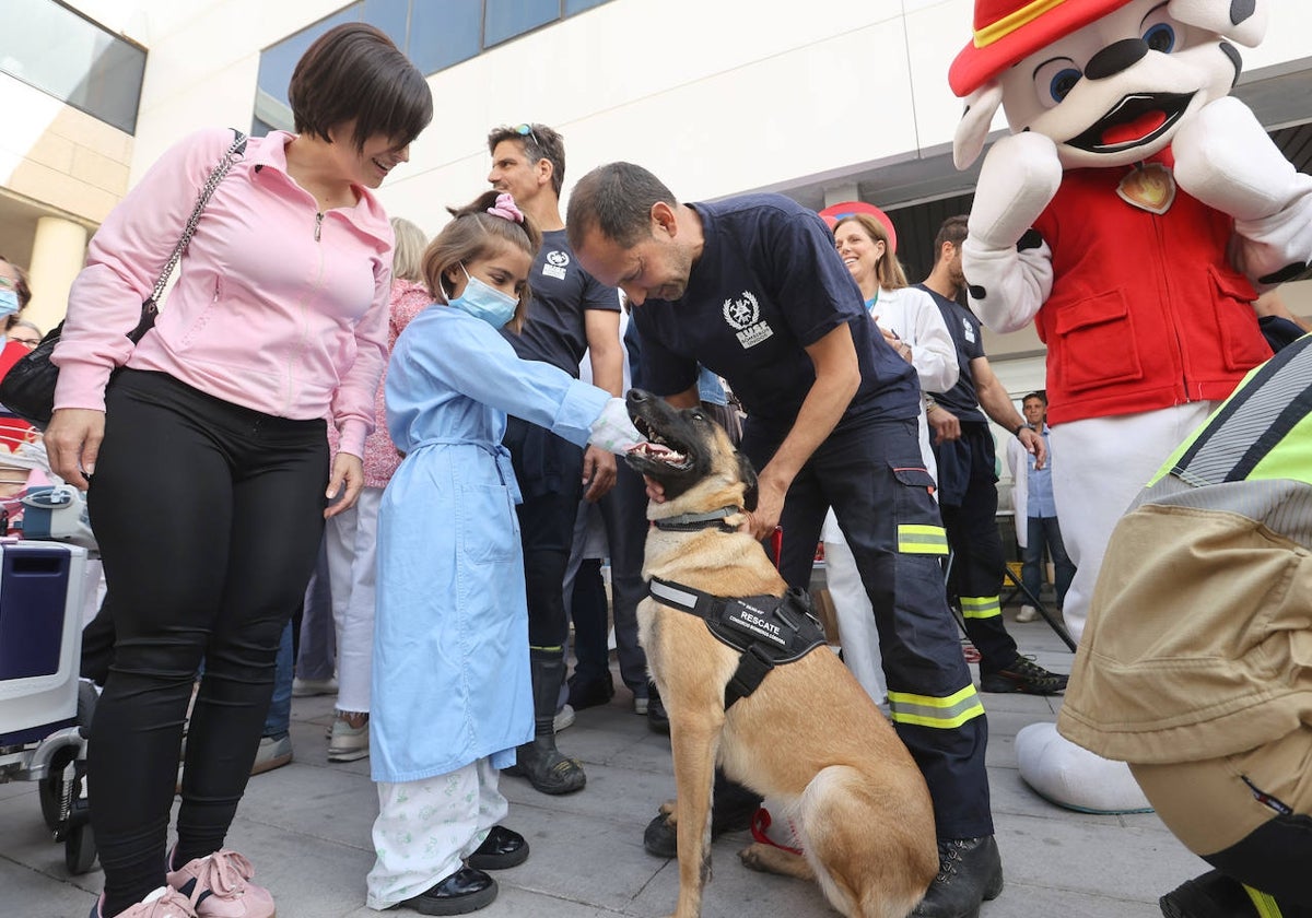 El Día del Niño Hospitalizado en el Reina Sofía, en imágenes