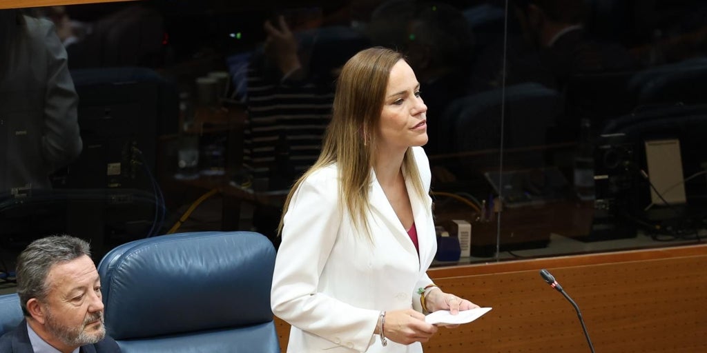 Vox acude al Tribunal Constitucional contra el «rodillo» del PP en la Comisión Begoña de la Asamblea de Madrid