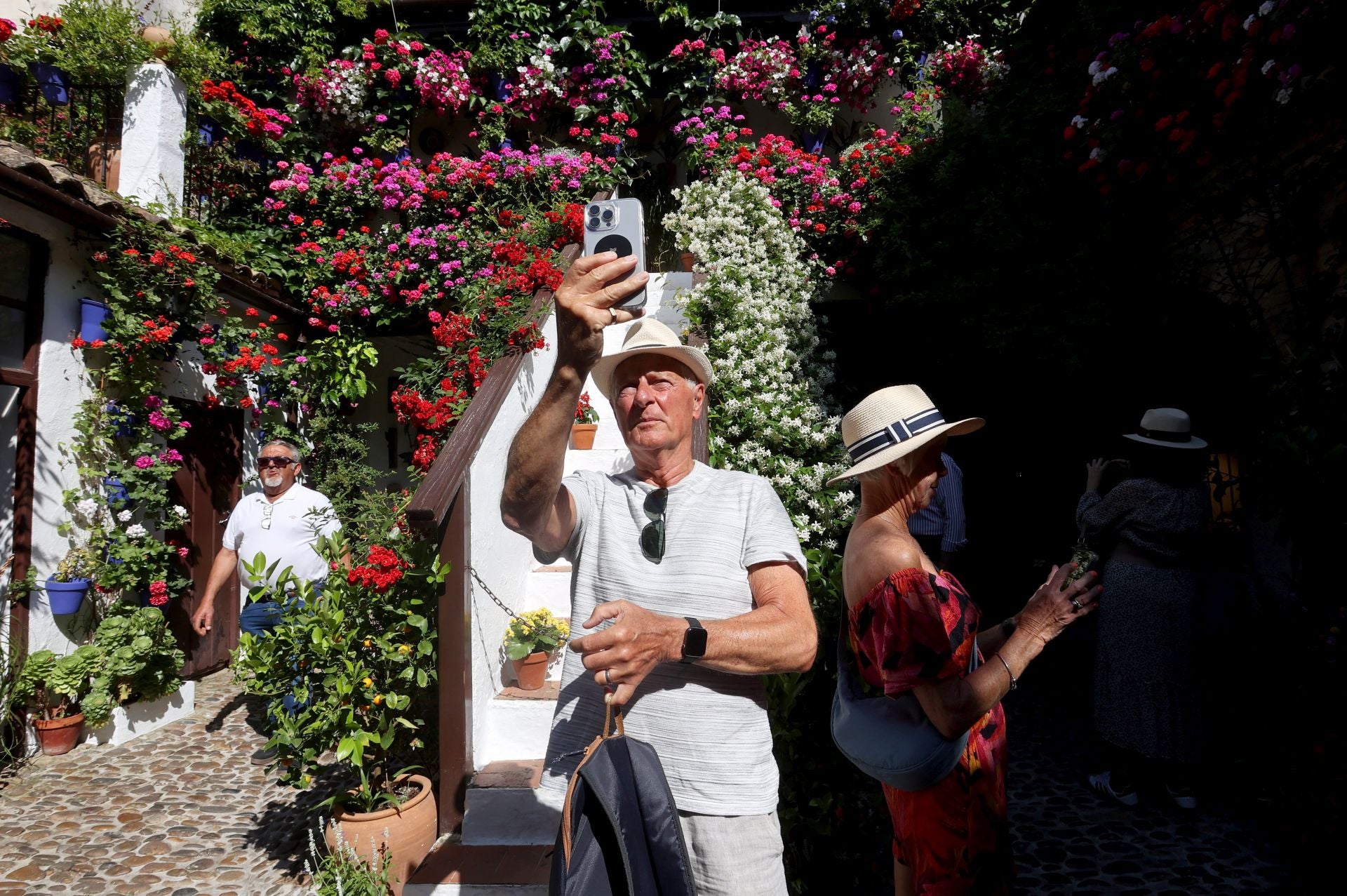 Un paseo por los patios más clásicos de Córdoba, en imágenes