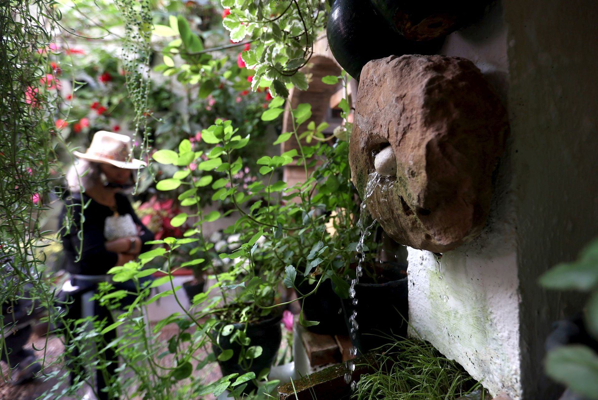 Un paseo por los patios más clásicos de Córdoba, en imágenes