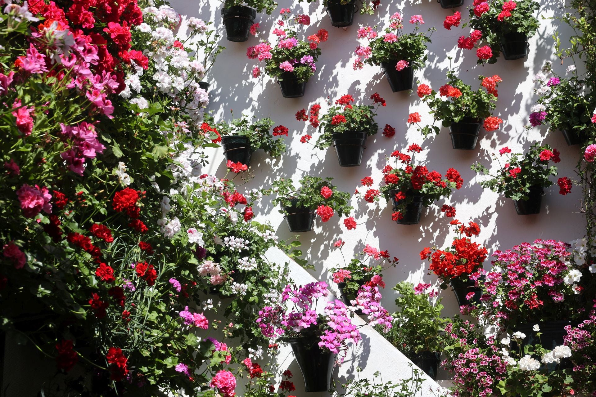 Un paseo por los patios más clásicos de Córdoba, en imágenes