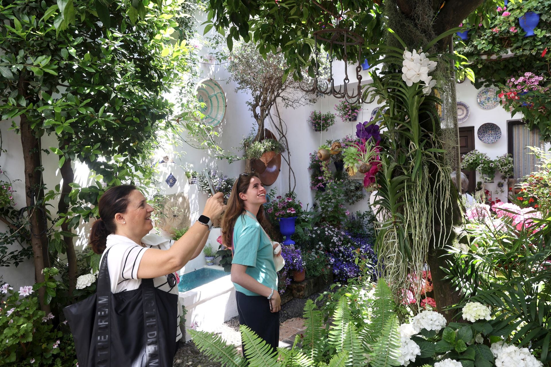 Un paseo por los patios más clásicos de Córdoba, en imágenes