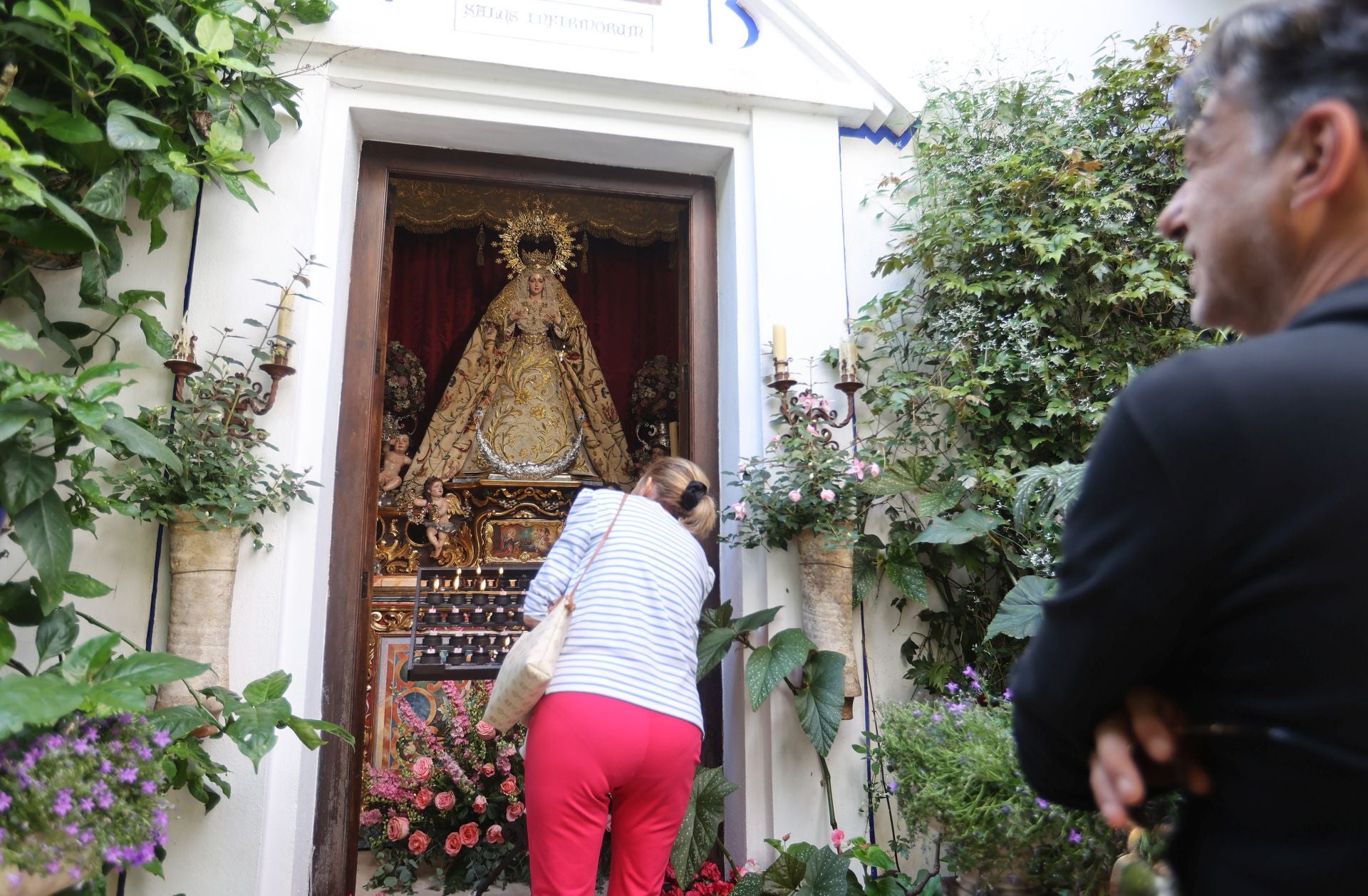 Un paseo por los patios más clásicos de Córdoba, en imágenes