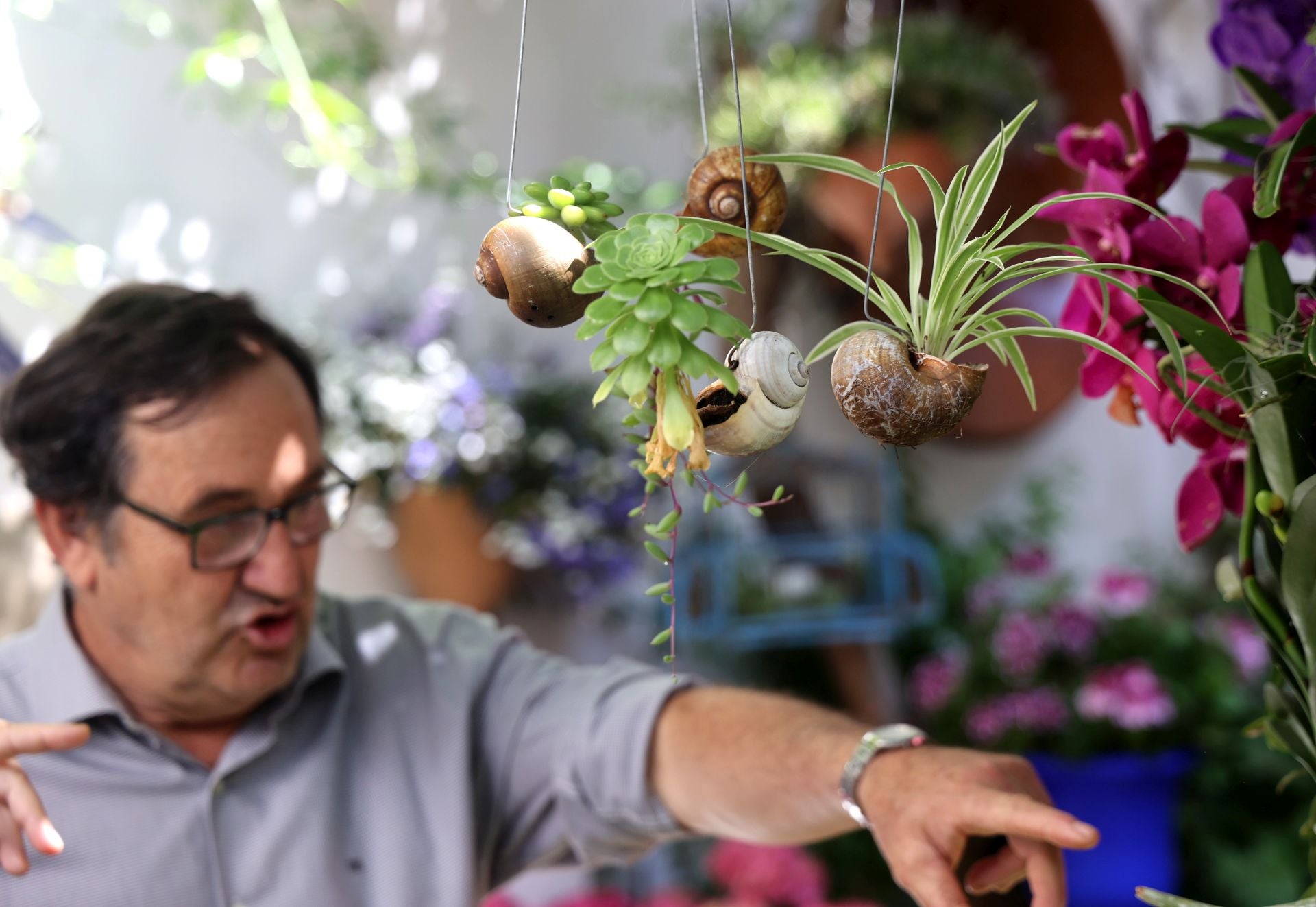Un paseo por los patios más clásicos de Córdoba, en imágenes