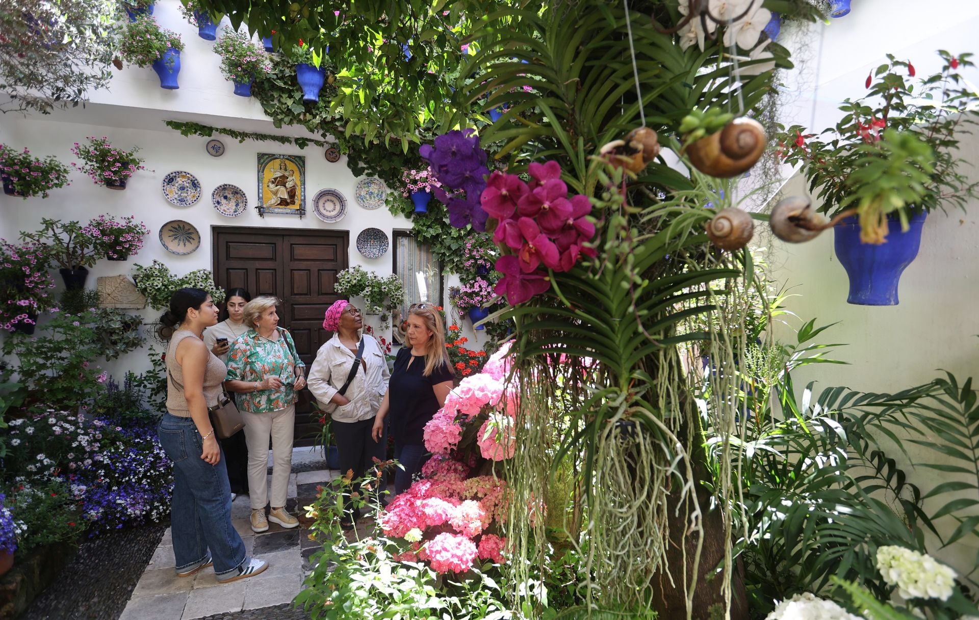 Un paseo por los patios más clásicos de Córdoba, en imágenes