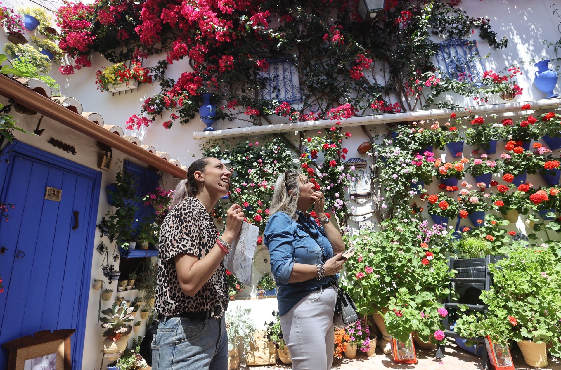 Un paseo por los patios más clásicos de Córdoba, en imágenes